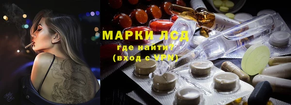 индика Мегион